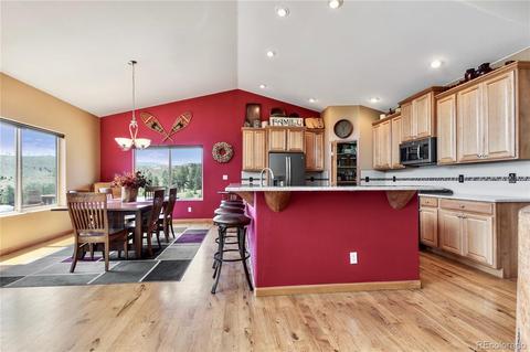15459 Ouray Rd, Pine, CO 80470 photo 14
