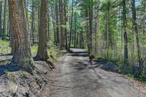 25358 Snyder Ave, Conifer, CO 80433 photo 36