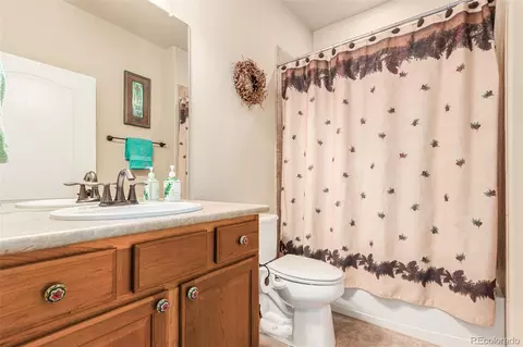 8167 E 149th Pl, Thornton, CO 80602 photo 24