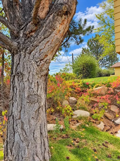 Exterior - 402 S Stanolind Ave, Rangely, CO 81648 photo 4 of 8