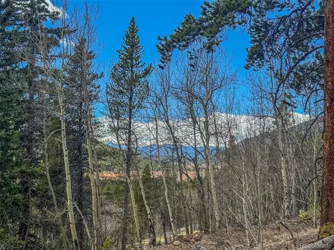 Buckeye Gulch Road, Leadville, CO 80461
