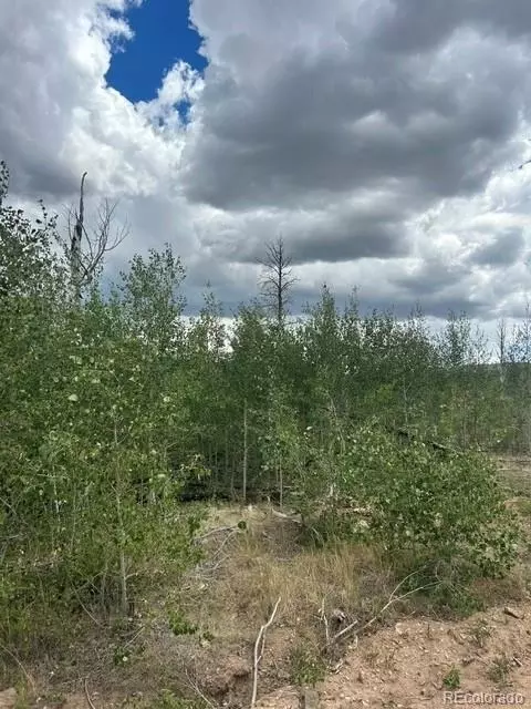 Block Five, La Veta, CO 81055 photo 8