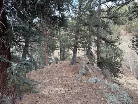 342 366 Brown St, Bailey, CO 80421 photo 10