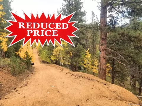 342 366 Brown St, Bailey, CO 80421