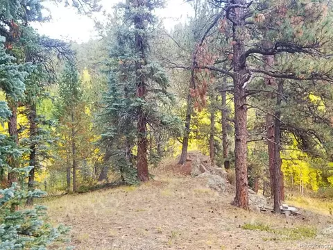 342 366 Brown St, Bailey, CO 80421 photo 6