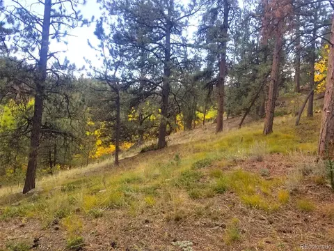 342 366 Brown St, Bailey, CO 80421 photo 5