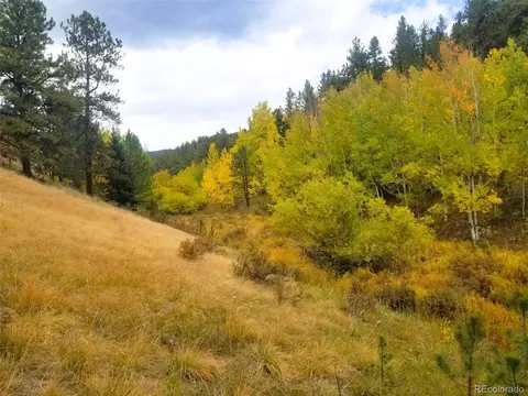 342 366 Brown St, Bailey, CO 80421 photo 4