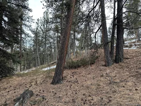 342 366 Brown St, Bailey, CO 80421 photo 12