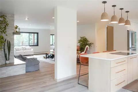 Other - 1709 Red Hawk Rd, Silverthorne, CO 80498 photo 6 of 15