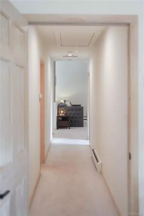 Entry Way - 1709 Red Hawk Rd, Silverthorne, CO 80498 photo 3 of 3
