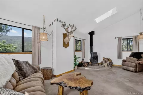 Other - 211 Calle De Lujan, Shawnee, CO 80475 photo 4 of 15