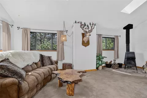 Other - 211 Calle De Lujan, Shawnee, CO 80475 photo 3 of 15