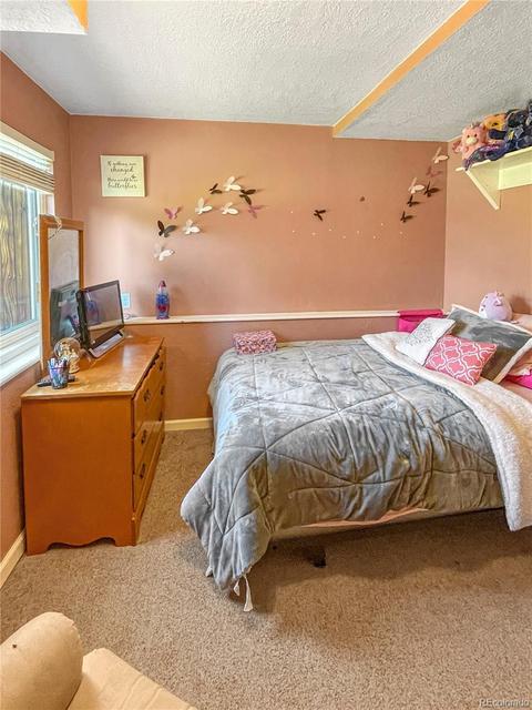 17794 E Colgate Pl, Aurora, CO 80013 photo 17