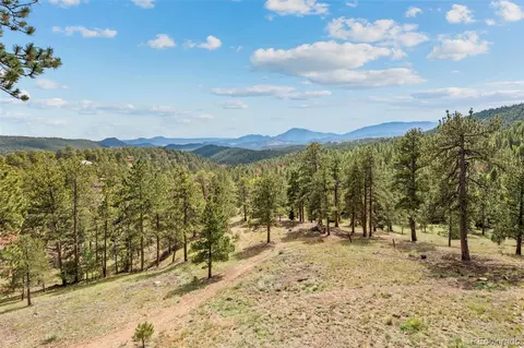 Other - 13721 Douglas Ranch Dr, Pine, CO 80470 photo 10 of 13