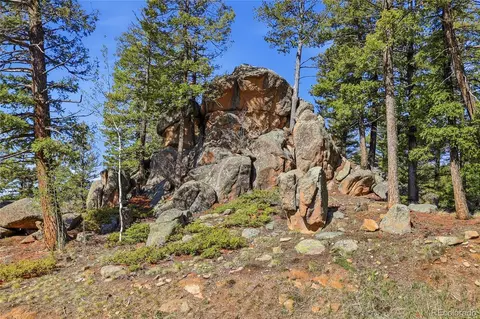 Other - 24073 Peak Dr, Conifer, CO 80433 photo 28 of 30