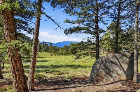 Other - 24073 Peak Dr, Conifer, CO 80433 photo 19 of 30