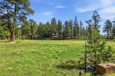 Other - 24073 Peak Dr, Conifer, CO 80433 photo 18 of 30