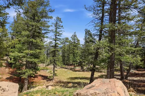 Other - 24073 Peak Dr, Conifer, CO 80433 photo 29 of 30