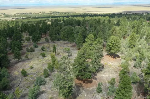 Pawnee Place, Mosca, CO 81146 photo 4