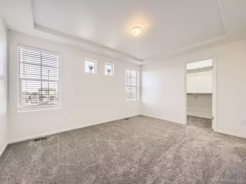 18241 E 47th Dr, Denver, CO 80249 photo 14