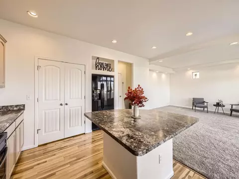18241 E 47th Dr, Denver, CO 80249 photo 12