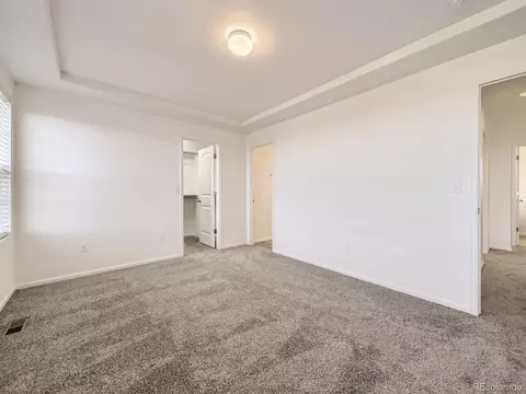 18241 E 47th Dr, Denver, CO 80249 photo 15