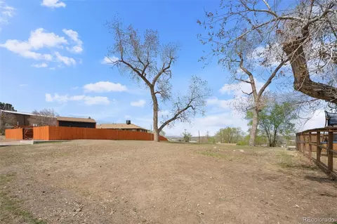 5592 Independence, Arvada, CO 80002 photo 6