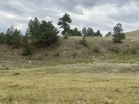 000 Tonkawa Rd, Hartsel, CO 80449