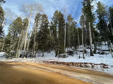 222 Banner Trl, Florissant, CO 80816