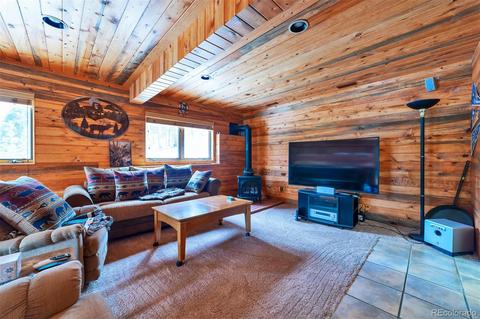 62 E Crosscut, Bailey, CO 80421 photo 22