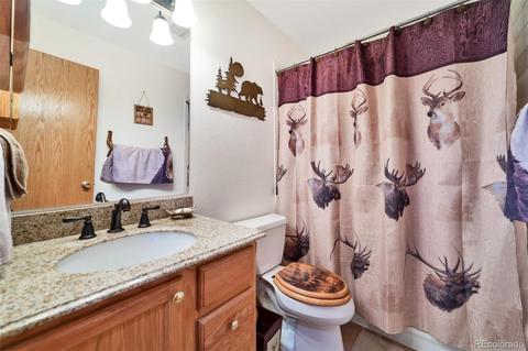 62 E Crosscut, Bailey, CO 80421 photo 13
