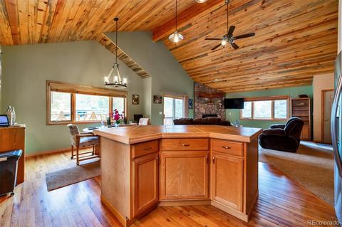 62 E Crosscut, Bailey, CO 80421 photo 9