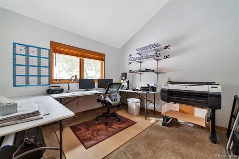 62 E Crosscut, Bailey, CO 80421 photo 12