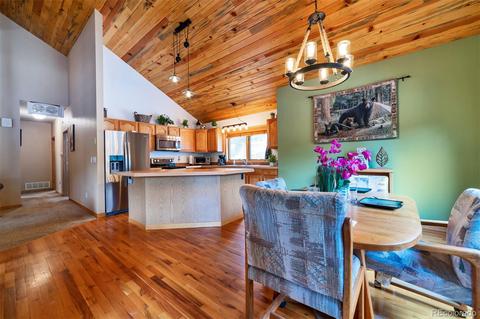62 E Crosscut, Bailey, CO 80421 photo 7