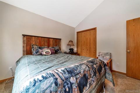 62 E Crosscut, Bailey, CO 80421 photo 19
