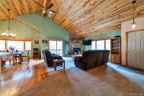 62 E Crosscut, Bailey, CO 80421 photo 4