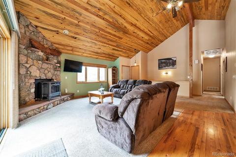 62 E Crosscut, Bailey, CO 80421 photo 3