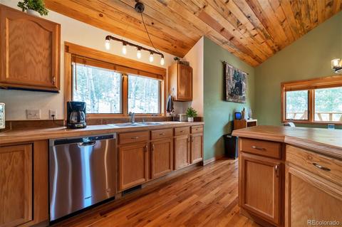 62 E Crosscut, Bailey, CO 80421 photo 11