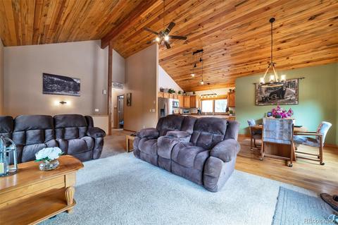 62 E Crosscut, Bailey, CO 80421 photo 6