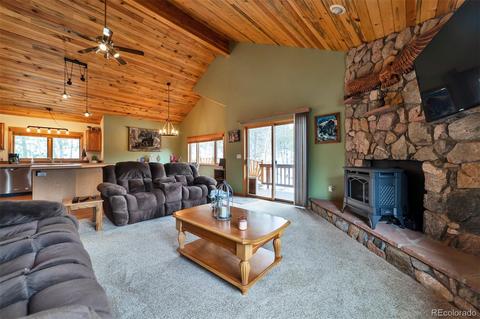 62 E Crosscut, Bailey, CO 80421 photo 5