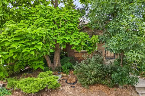 4509 Stuart St, Denver, CO 80212 photo 32