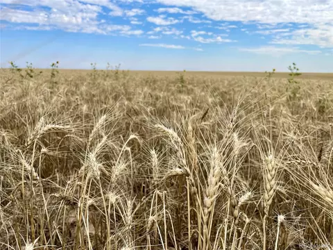 County Road 35, Genoa, CO 80818