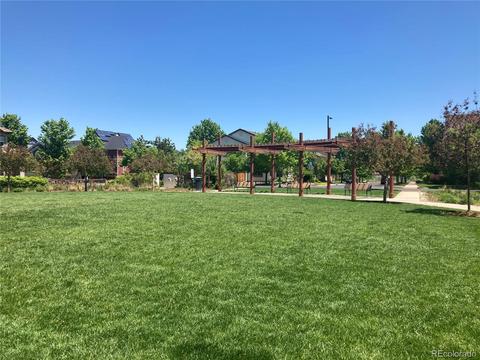 9103 E 24th Pl, Denver, CO 80238 photo 31