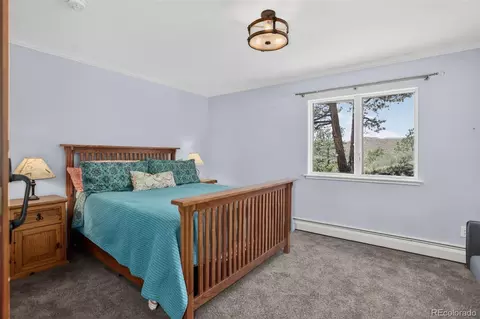 Bedroom - 30236 Zurich Dr, Pine, CO 80470 photo 4 of 6