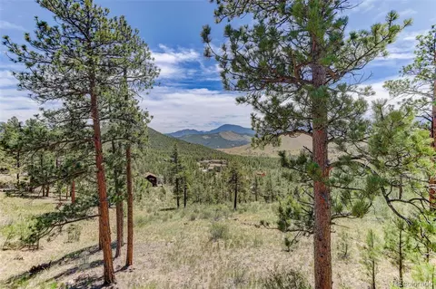 Other - 30236 Zurich Dr, Pine, CO 80470 photo 16 of 22
