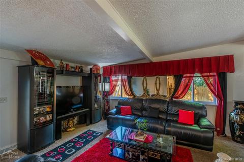 8241 E 104th Ave, Henderson, CO 80640 photo 5