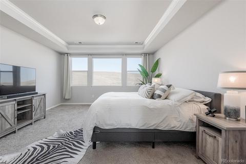 9480 Umber Way, Arvada, CO 80007 photo 15