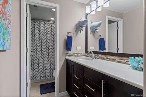 1734 Summerglow Ln, Monument, CO 80132 photo 36