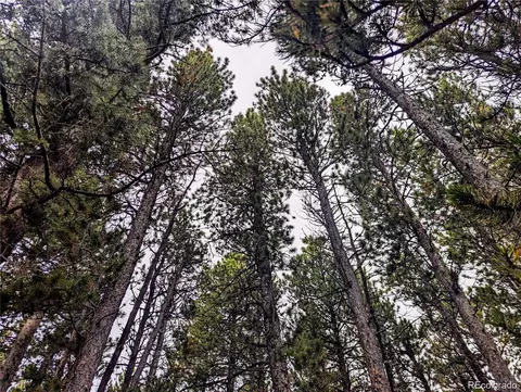 lot3190 Zipf Ln, Fort Garland, CO 81133