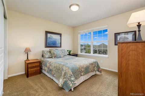 8790 Flora Ct, Arvada, CO 80005 photo 22